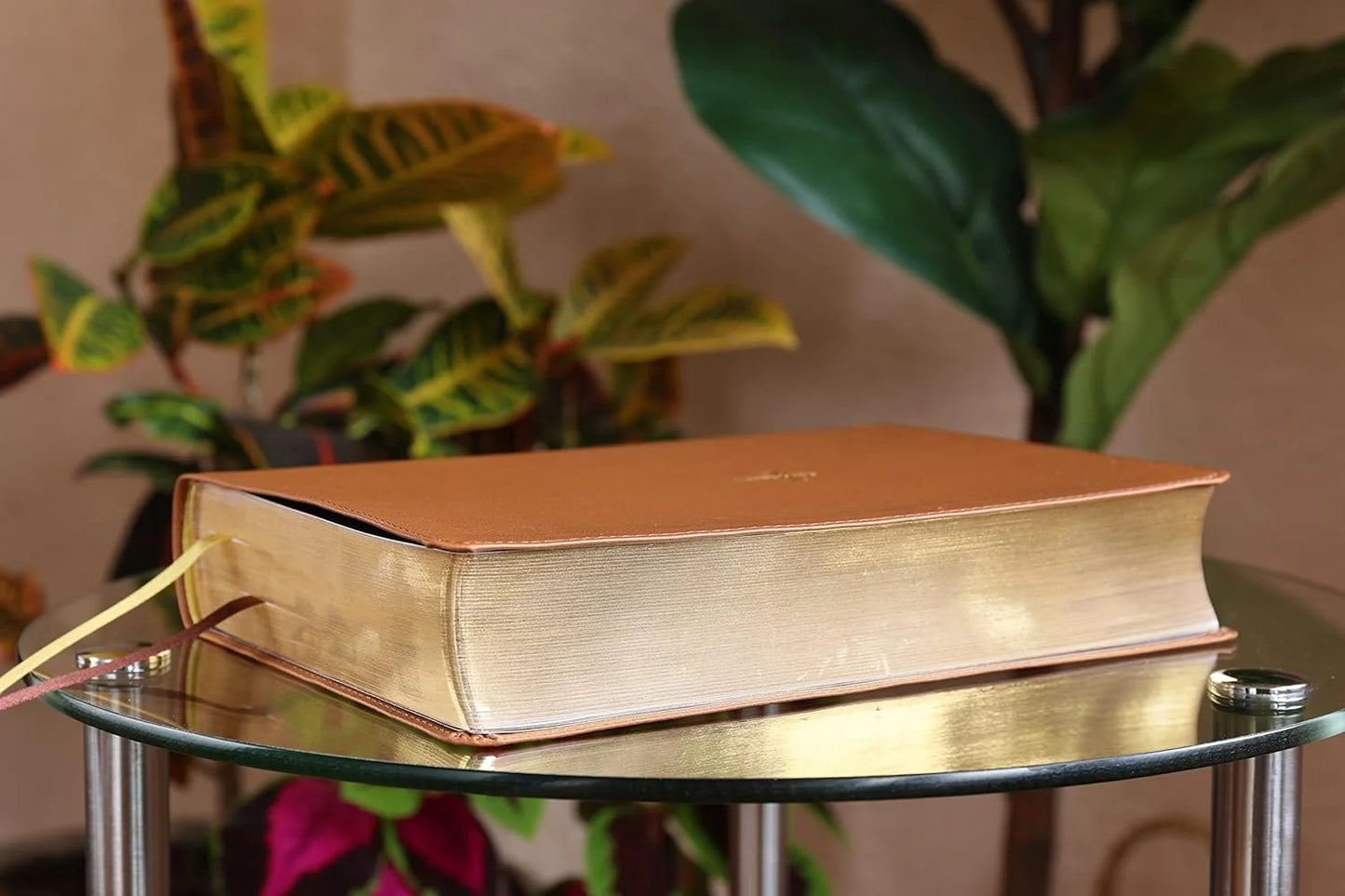Thompson Chain-Reference Bible, Leathersoft Brown, 1995 Text, Red Letter, Comfort Print - Durable Hardcover Edition