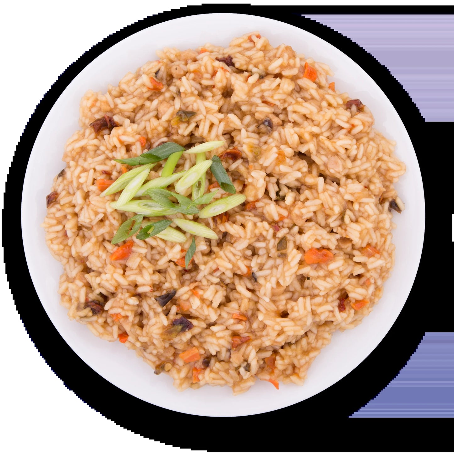 "ReadyWise 72-Hour Emergency Food Supply - 30 servings, 5,460 calories, freeze-dried survival meals with 25-year shelf life."