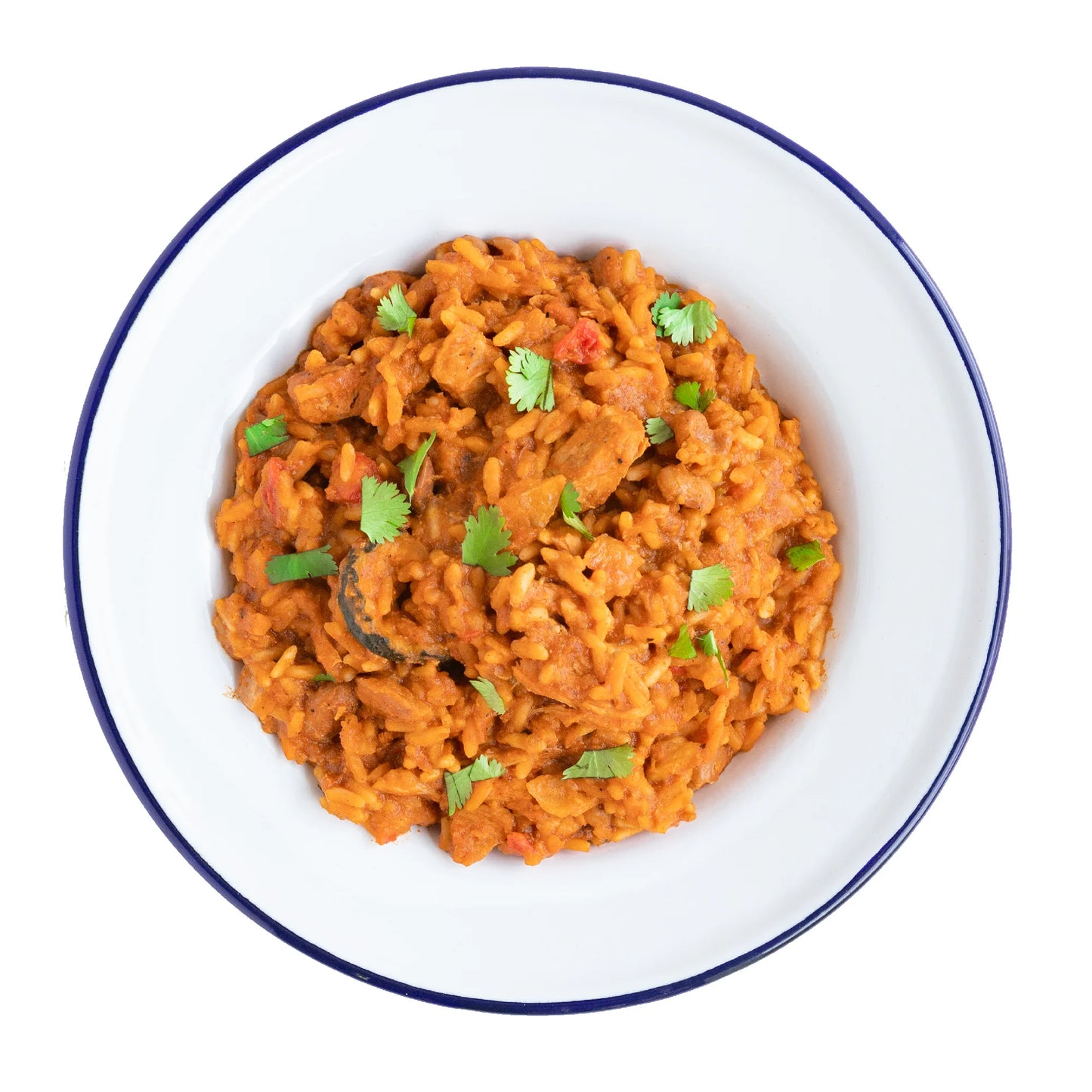 Mexican Style Adobo Rice & Chicken - Ultimate Pro-Pak® Emergency Survival Food for Camping, Hiking & Backpacking - 6 Convenient Pouches