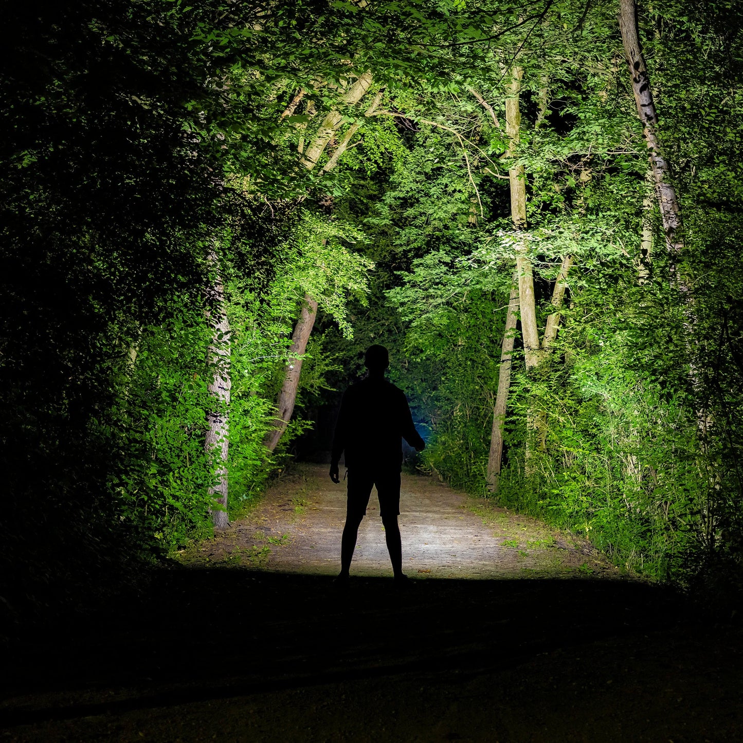 1-Mile Rechargeable Tactical Flashlight - 2 Pack, 1000 Lumens Ultra-Bright COB LED, Durable & Versatile