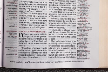 Thompson Chain-Reference Bible, Leathersoft Brown, 1995 Text, Red Letter, Comfort Print - Durable Hardcover Edition