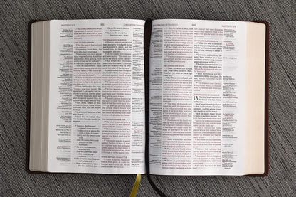 Thompson Chain-Reference Bible, Leathersoft Brown, 1995 Text, Red Letter, Comfort Print - Durable Hardcover Edition