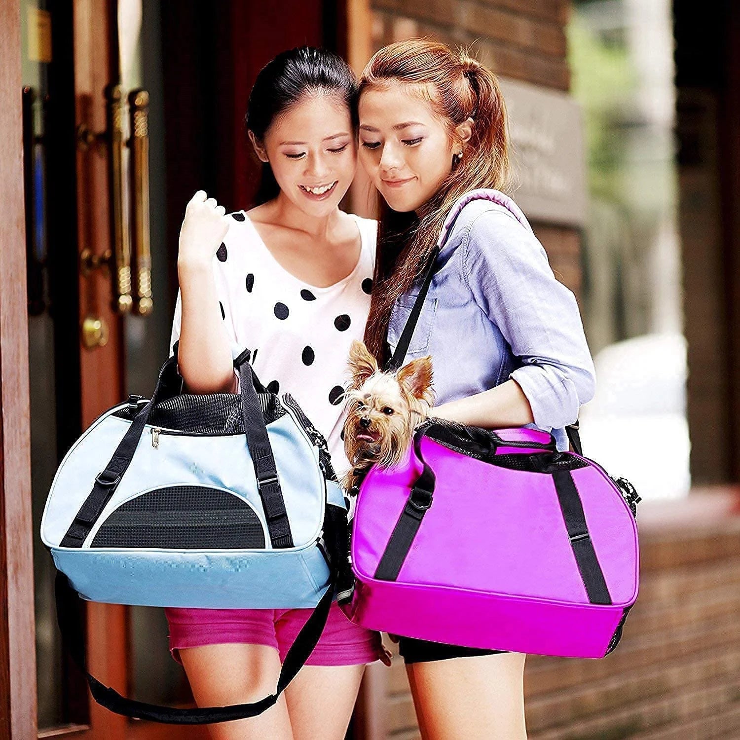 Airline-Approved Soft-Sided Pet Carrier for Cats and Small Dogs - Portable, Foldable Comfort Bag (Blue)