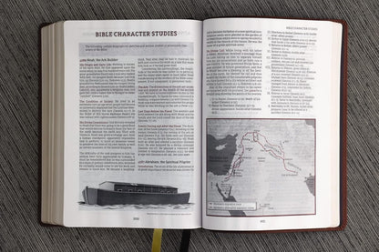 Thompson Chain-Reference Bible, Leathersoft Brown, 1995 Text, Red Letter, Comfort Print - Durable Hardcover Edition