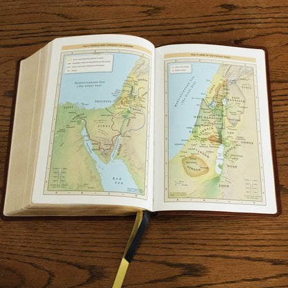 NKJV Study Bible with Comfort Print - Brown Leathersoft Hardcover: Your Comprehensive Guide to Every Chapter of the Bible
